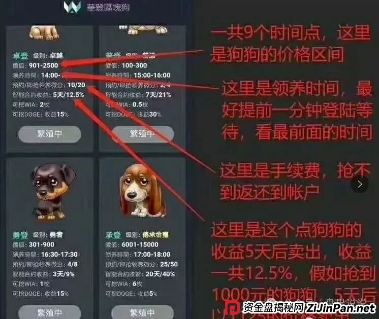 “巢音世代”抢单互助资金盘骗局，操盘手圈钱过亿，即将崩盘跑路。