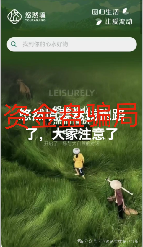 老谭深度解析：悠然境资金盘背后的套路与陷阱，距离崩盘跑路不远了