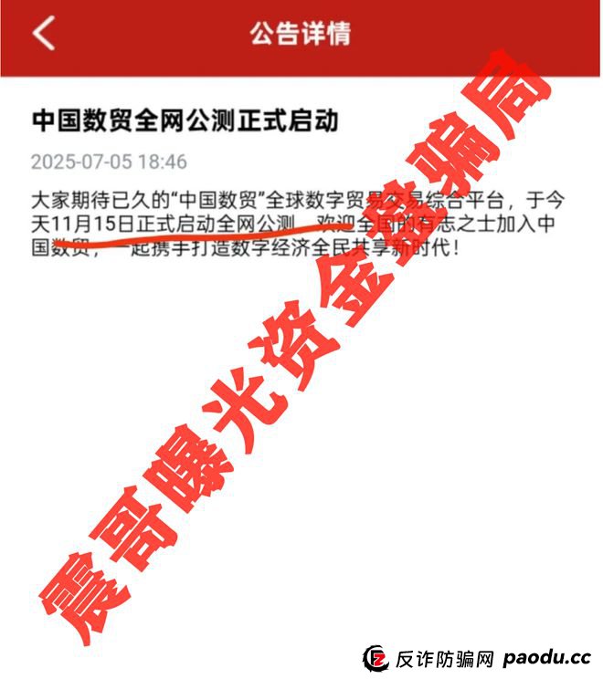 中国数贸资金盘大起底：震哥带你扒开“全球卡”骗局